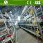high quality automatic broiler chicken cages /layer cage poultry equipment