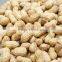 Natural Organic Peanut Powder with Good Quality and Low Price
