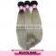 Fashion Hair Two Tone Ombre Brazilian Hair Straight Wave Silver Grey Ombre Hair Extensions