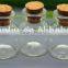 Mini 5/10/20/30/50ml bottle with cork, penicillin bottle floating bottle glass good luck wishing bottle