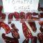 Tomato chillies from India
