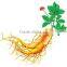 Ginseng powder