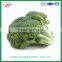 high quality fresh broccoli for sale 1000-1100g/pc
