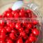 2013 new crop canned cherry red cherry black cherry green cherry