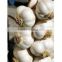 Online Hot Sale of Jinxiang Garlic in Bulk