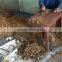 RAW SQUARE CUT CASSIA/CINNAMON WITH SKIN