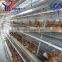 broiler breeder farms