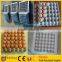 Factory Supply egg tray machine 6000 pcs