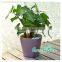 Best selling flower pot with water level indicator,self watering planter,plastic flower pot,nursery pots