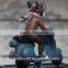 Vintage Resin Bulldog Riding Figurine