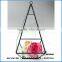 Glass cube shaped terrarium hanging geometry glass terrarium