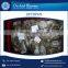 Trusted Brand Selling Fresh Octopus for Bulk Buyers