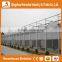 Factory price trade assurance commercial professional used PC greenhouse for sale