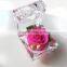 New Products Natural Fresh Preserved Flower Roses Multicolored Preserved Flower