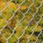 Chain Link Fences