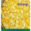 2014 Best Quality Canned Sweet Corn in Brine
