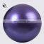 116075011 Fitness GYM Ball Yoga Ball