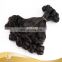 Hot Beauty Funmi spring curl 8''-18'' virgin black no tangle no shed hair weave