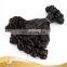 Fashion beautiful 6A grade fummi spring curl brazilian virgin hair weft
