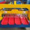 Factory Outlet Latest Popular Russia Special Colored Steel Roll Forming Machine