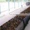 palm kernel oil refinery extraction processing pressing machine plant production line