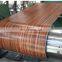 color coated galvanized steel coil ppgi from  CHINA