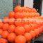 Customized PE Plastic Float Buoy