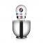 New Design 50HZ black multifunctional milk blender kitchen ice cream egg milk mixer