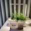 Home Indoor led greenhouse light  portable greenhouse Smart Green Garden desktop mini grow kit