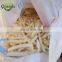 Top Technology Automatic Frozen French Fries Production Line with Best Frozen French Fries Factory Price