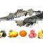 LONKIA Factory Manufacturer Directly Apple Orange Peach Tomato Potato Grading Fruit Sorting Machine