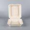 Biodegradable 8*8 Take away Sugarcane container