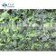Sinocharm BRC A Approved IQF Spinach Chopped Frozen Spinach