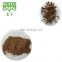 Super Food 7% Beta Sitosterol stinging nettle root Extract powder