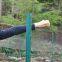 Extruded Green Anti Bird Net for Agricultural /Anti-Bird Net