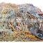Automatic Scrap Cable Wire Stripper Waste Copper Wire Stripping Machine