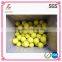 Factory Whole Snug Sponge Rubber Ball for Dog