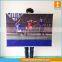 Promotional Custom New Indoor Hanging Flag Banner