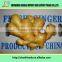 fresh wholesale ginger/air dry ginger Air Dried Ginger organic China anqiu city