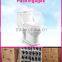 Economic Porcelain Washdwon gravity flushing wc one piece Toilet