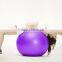 fitness anti-burst pvc yoga balance ball with pump