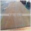 russian pine wood pine timber rotary cut pine veneer