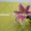 Diversified in packaging crazy selling fresh single stem lilies