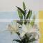 Fresh top sell white lilies for holiday party