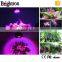 High Quality high power led grow light CE ROSH PAR38 Switchable Hydroponic Grow Light