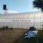 Cheap single span plastic greenhouse for agriculture
