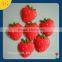 Custom home decoration 3D soft PVC flower magnetic fridge stickers