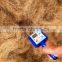 COCONUT FIBER FOR MATTRESS USE