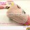 Zhuji China Sock Manufacturer Cheap Price Lastest Design OEM Customized Cute Woman Gender Terry Socks