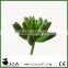 Mini Artificial Succulent Plant in Green for Bonsai Succulents